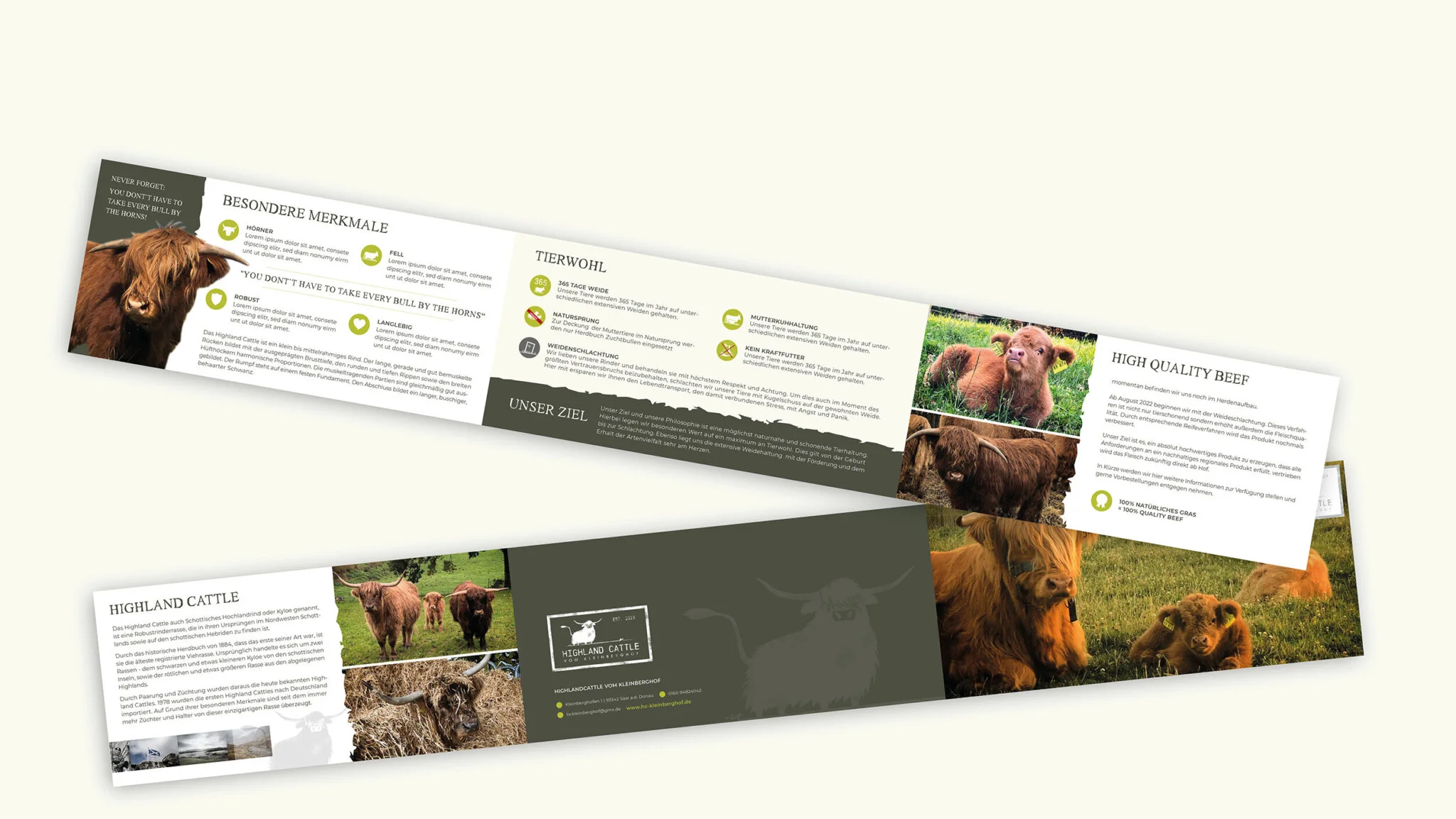 Broschüren Design – Highland Cattle
