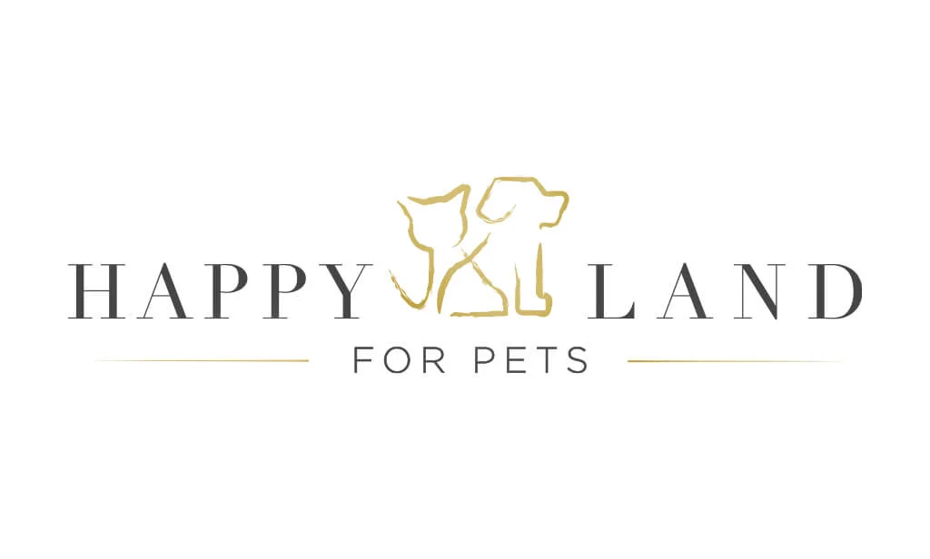 Logodesign Referenz Happyland.Webp – Fly & Froth